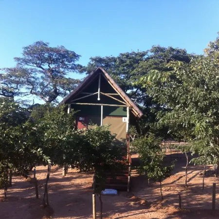 Lion Roars Lodge
