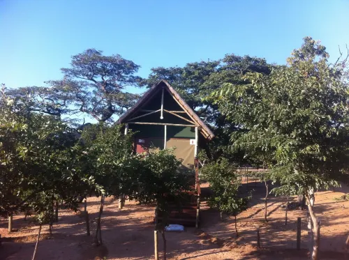 Lion Roars Lodge Hotels in Chobe
