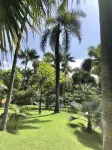 Hotel Tigaiga