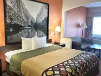 Super 8 by Wyndham Humble / Atascocita / FM 1960 I-69 Hotels in Humble