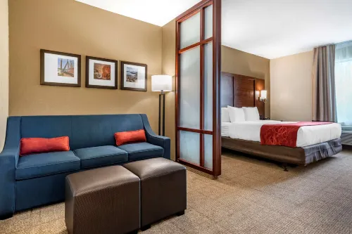 Comfort Suites Airport Hotels in Brandon
