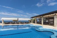 Apartments Amfora Plava Laguna - Pool