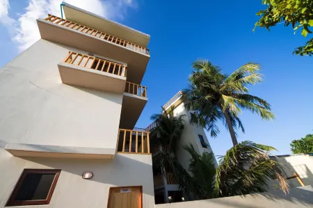 Tropic Tree Maldives