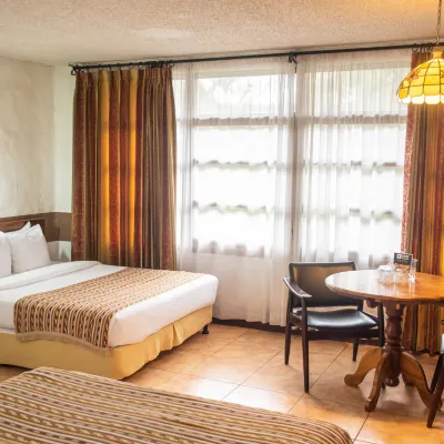 Hotel Aeropuerto Hotels near Zoo Ave