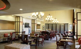 Hampton Inn & Suites Dallas-Arlington North-Entertainment District