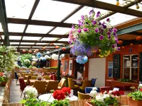 Feriensiedlung Schwalbennest Hotels in Dranske