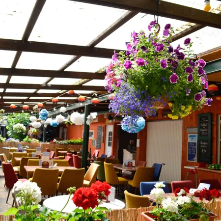 Feriensiedlung Schwalbennest