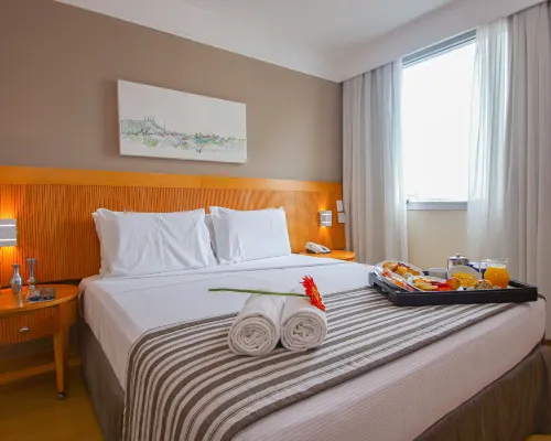 Belo Horizonte Plaza Hotels near Lourdes