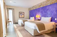 Terre Blanche Hotel Spa Golf Resort فنادق في توريت