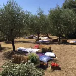 Zampugna Hotels in Pienza