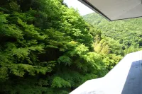 Oku Yugawara Tsubaki - Mountain view