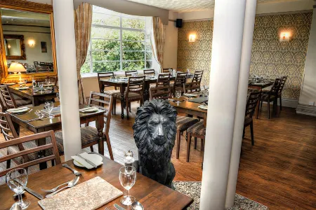 Lion Hotel & Studio Apartments Отели в г. Крикайет