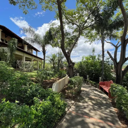 Tropical Gardens