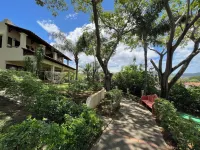 Tropical Gardens
