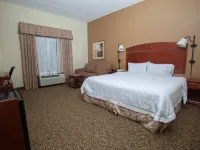 Hampton Inn Oneonta Hotels in Oneonta
