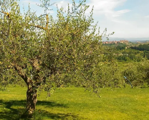 Capanna 1826 Ngoại thất Photos