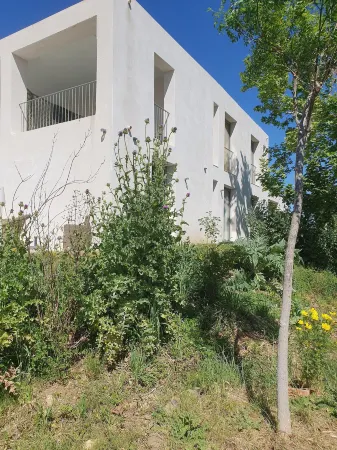 Villa Blanche Отели в г. Сен-Мартен-де-Кро