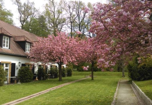 모리츠부르크 성