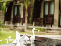 Papa Sun Villas Hotel in zona Porto di Sampalan