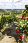 Torciano Hotel Wine & Winery, Tuscany