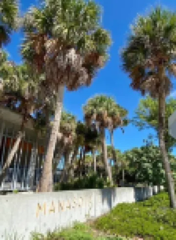 Cozy Treehouse-One-of a Kind Stay-Only 5 Minutes to Beach. Beach Gear Included!