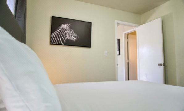 Cozy Home- Zoos Museums Fun Step From Your Door