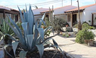 Comfortable 1-bed Bungalow in Parque Holandés