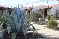 Comfortable 1-bed Bungalow in Parque Holandés Hotel di La Oliva