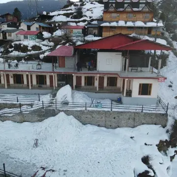 Pine Palace Homestay