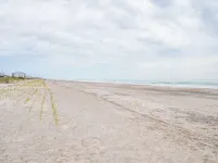 A Beach Pearle - Beach