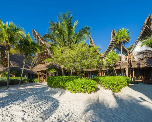 Ahau Tulum Hotel in zona Ziggy's