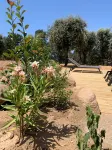 Residence de tourisme Pietra Gemina