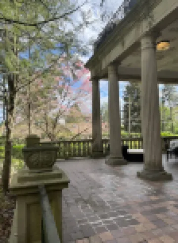 The Dery House