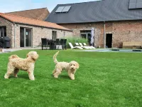 Bed & Breakfast in Maasmechelen Near Outlet Hotels near Hulpdienstenmuseum Limburg