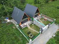 Peleri Suit Bungalow Yucehisar Koyu 호텔
