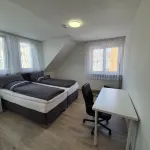 Ferienwohnung / Monteurswohnung