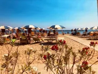 Modern apartment on the Adriatic coast. Only 2 minutes from the beach