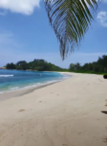 Seychelles: Apartment/ flat - Seychelles