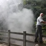 Explore Paradise-Palma Real cottage Hotels in Canas Dulces