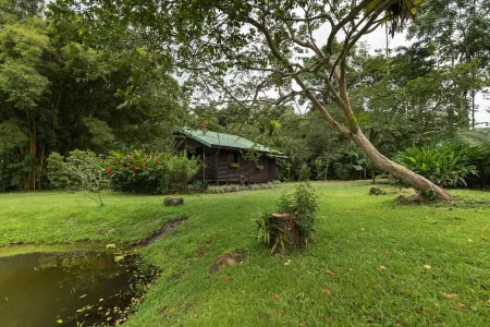 Cabaña Los Tucanes - Paradise for Couples!