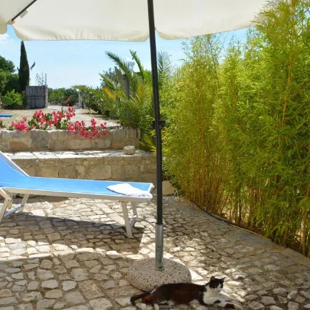 Dimora siciliana, giardino, piscina, wi-fi gratuito,orto biologico