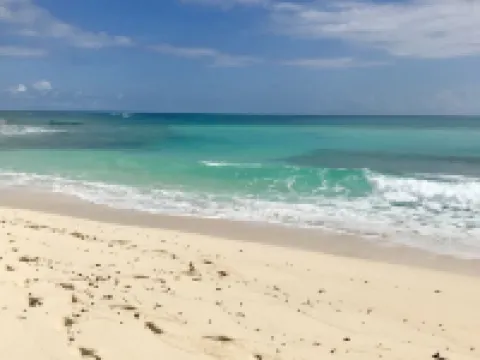 Bahamian Rhapsody.. 2026 Booking Promo! Plus, Catered Dinner from Best-Mackeys! Hotels in Elbow Cay