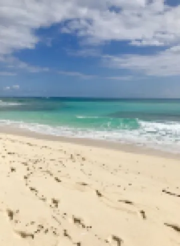 Bahamian Rhapsody.. 2026 Booking Promo! Plus, Catered Dinner from Best-Mackeys!