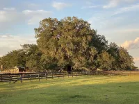 Pet friendly Cottage with Pool on Horse Farm, EV Charger, near Chi, WEC