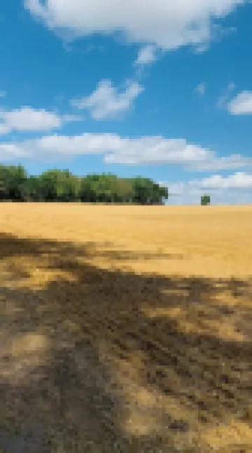 Large family cottage nestled in Sherwood Forest