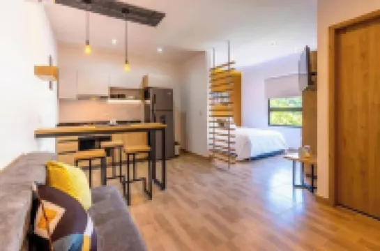 MODERNO LOFT. CAOBOS COLIVING+COWORKING. ZONA ROSA