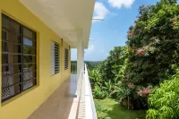 A Slice of the Rainforest! Near El Yunque and Beaches, Rio Grande Puerto Rico Hotels in Zarzal