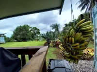 Capture the view, hear the waves -TepaeruVista