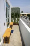 2 Bed in the heart of Cholula with views to the Pyramid and the