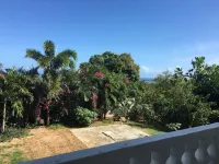 Modern Oasis On Tropical